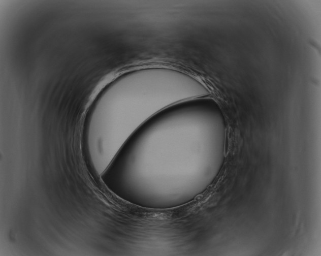 X0000097610056200802290806