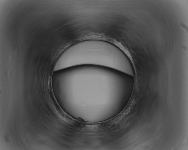 X0000097610057200802290806