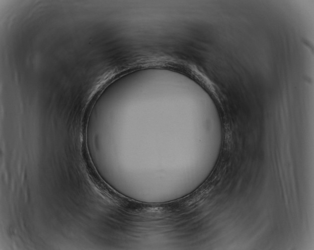 X0000097610059200802290806