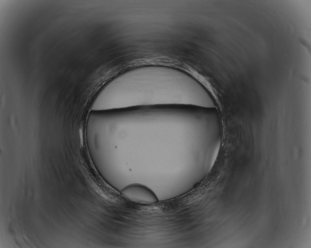 X0000097610061200802290806