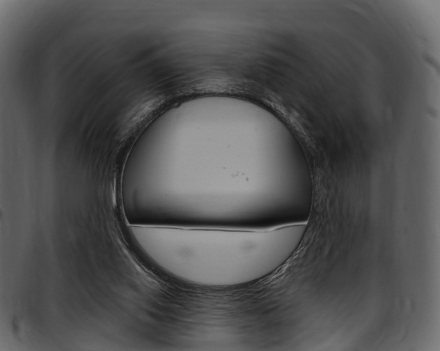 X0000097610062200802290806