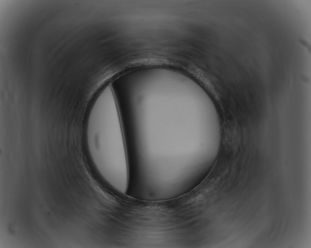 X0000097610063200802290806