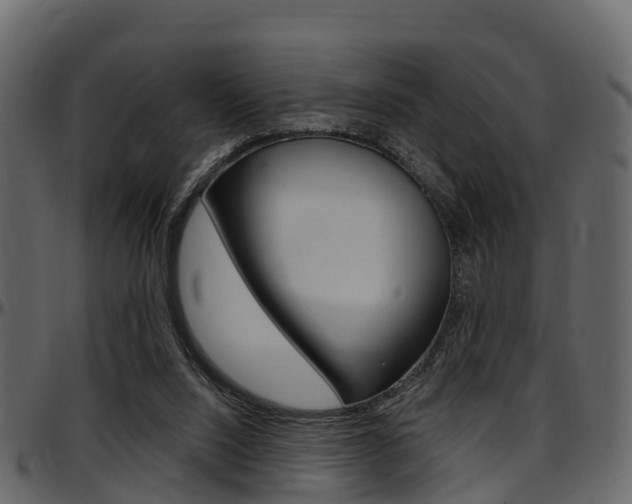 X0000097610064200802290806