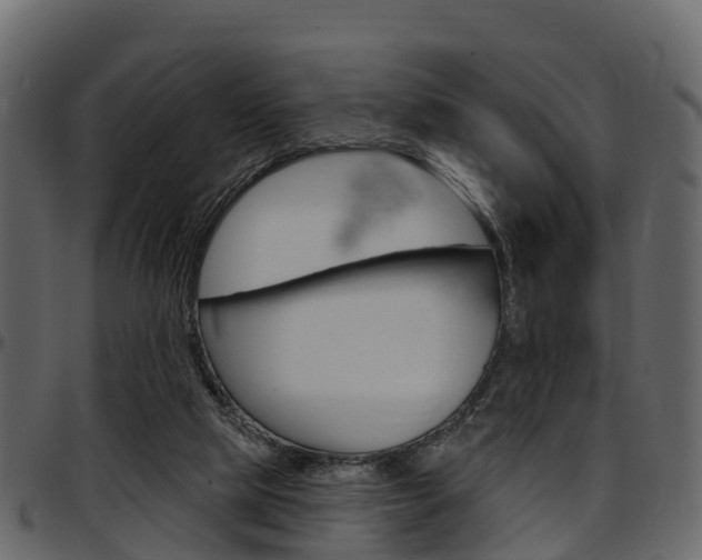 X0000097610065200802290806