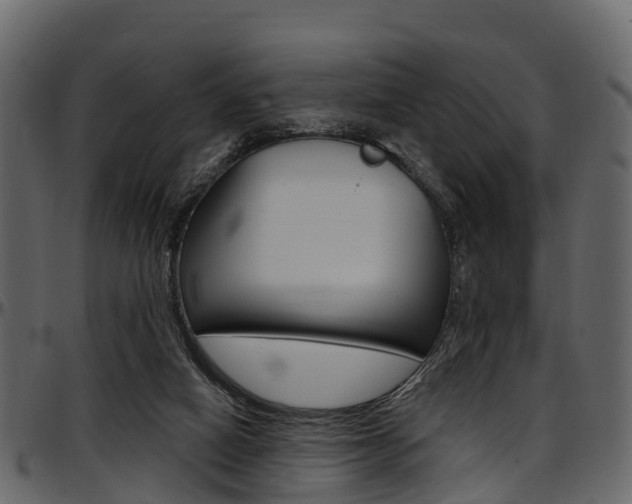 X0000097610066200802290806