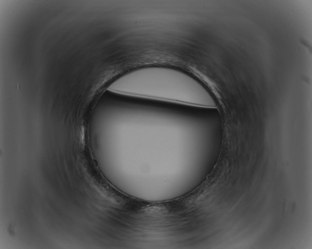 X0000097610067200802290806