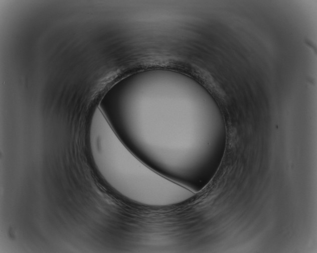 X0000097610068200802290806