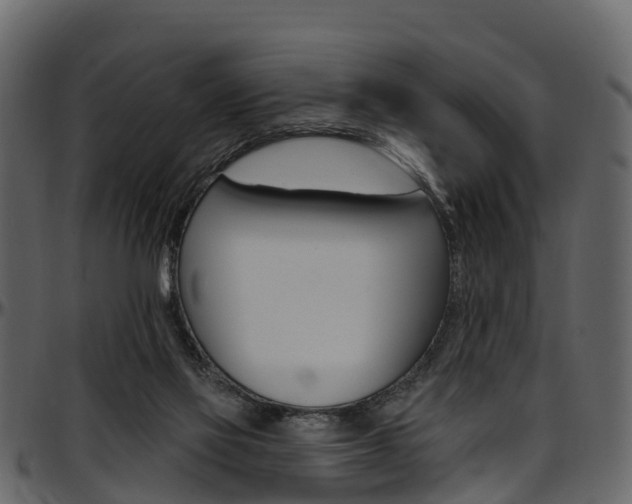 X0000097610069200802290806