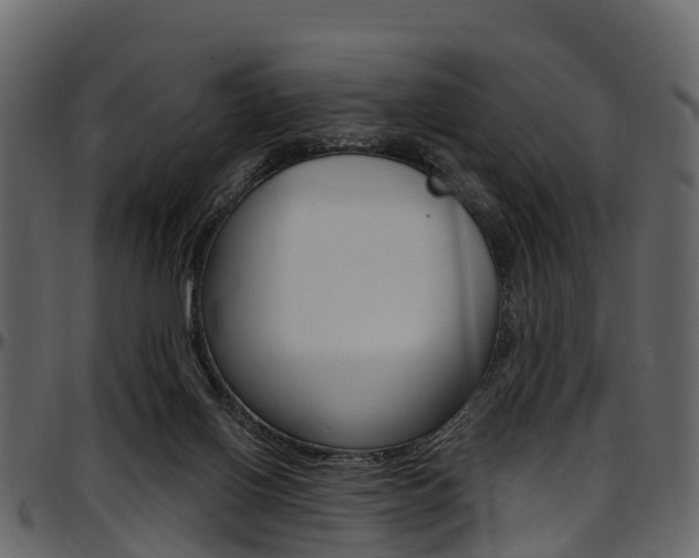 X0000097610070200802290806