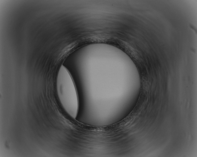 X0000097610071200802290806