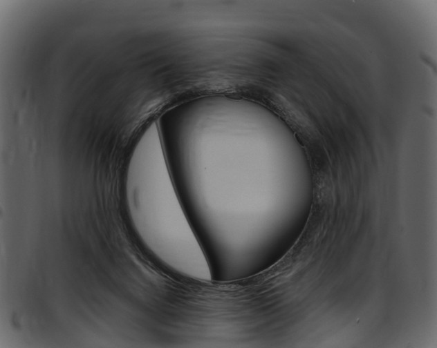 X0000097610072200802290806