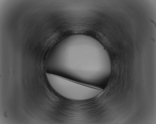 X0000097610074200802290806