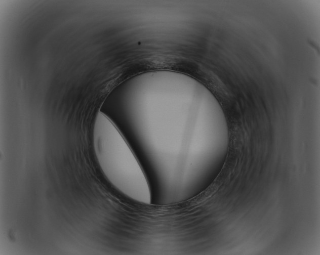 X0000097610075200802290806
