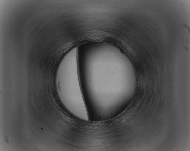 X0000097610076200802290806