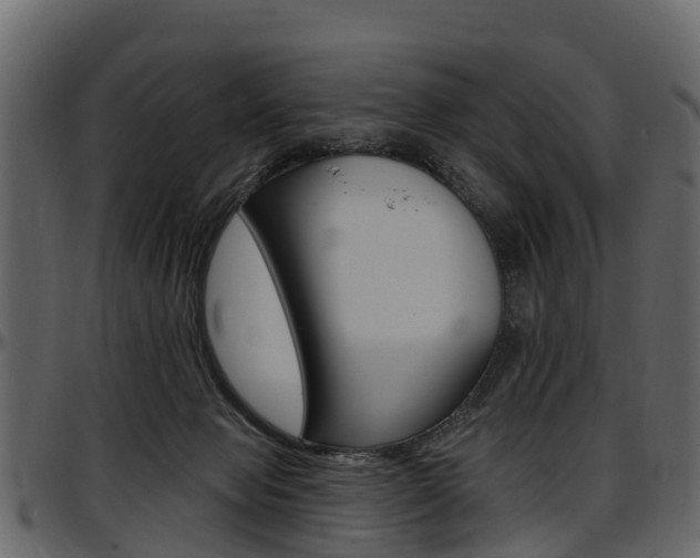 X0000097610077200802290806