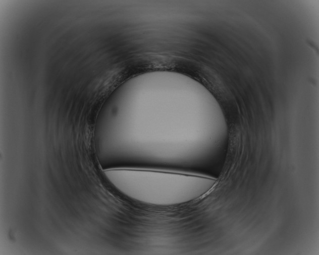 X0000097610078200802290806