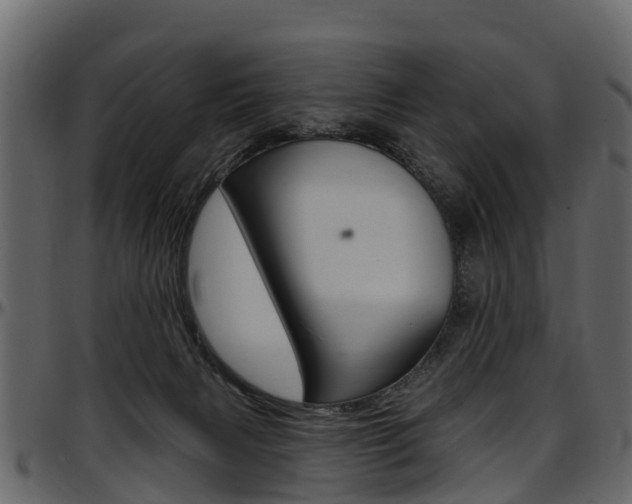 X0000097610079200802290806