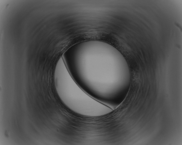 X0000097610080200802290806