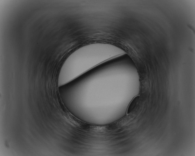 X0000097610081200802290806