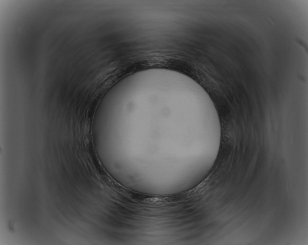 X0000097610082200802290806