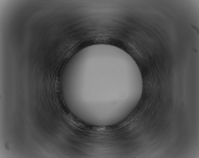 X0000097610083200802290806