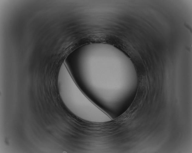 X0000097610084200802290806