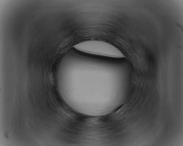 X0000097610086200802290806