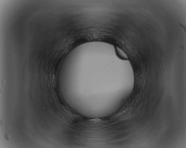 X0000097610087200802290806