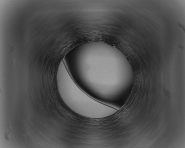 X0000097610088200802290806
