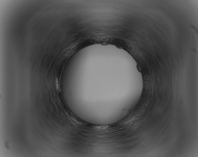 X0000097610089200802290806