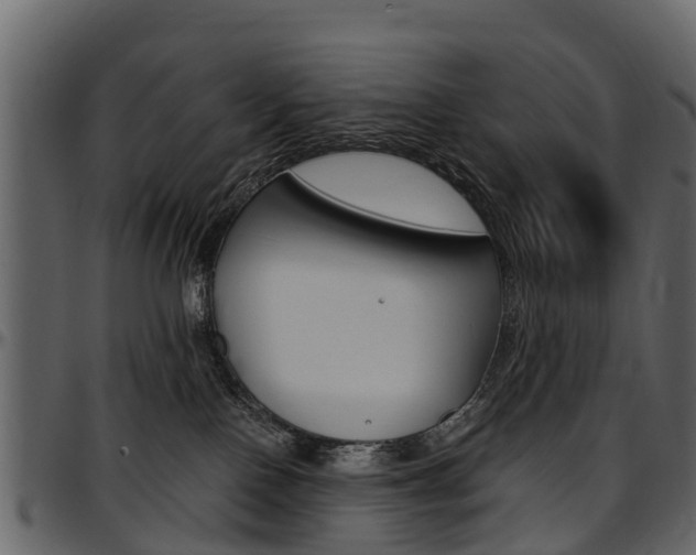 X0000097610090200802290806