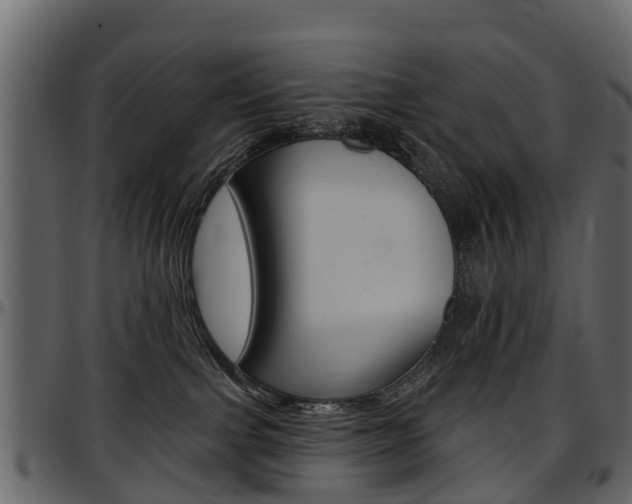 X0000097610091200802290806