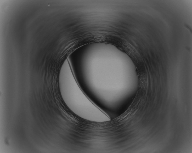X0000097610092200802290806
