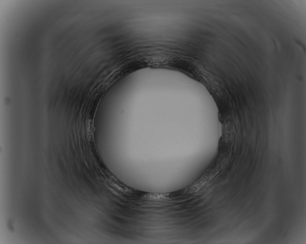 X0000097610093200802290806