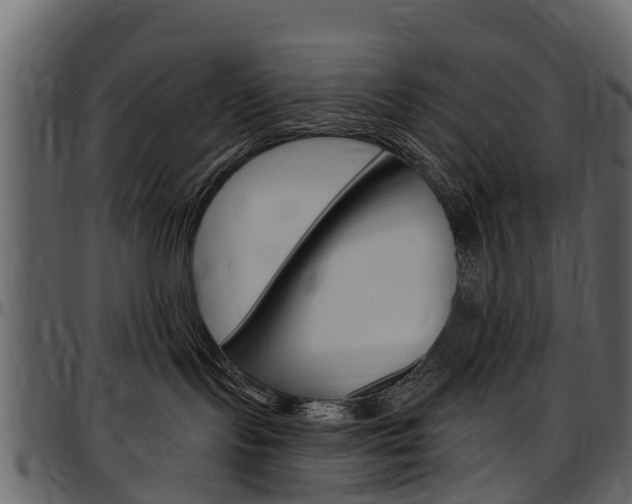 X0000097610095200802290806