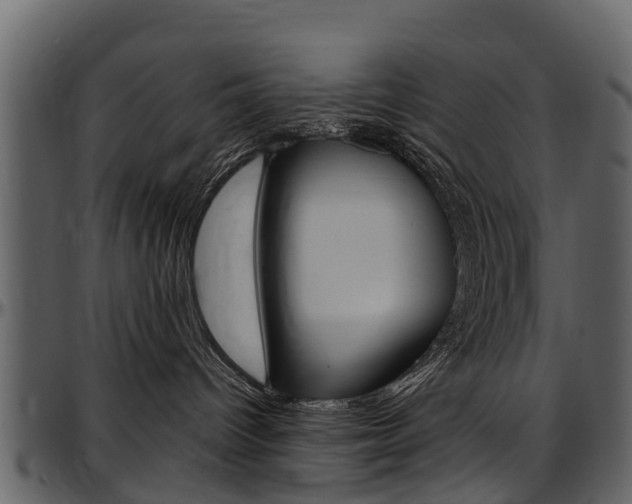 X0000097610096200802290806