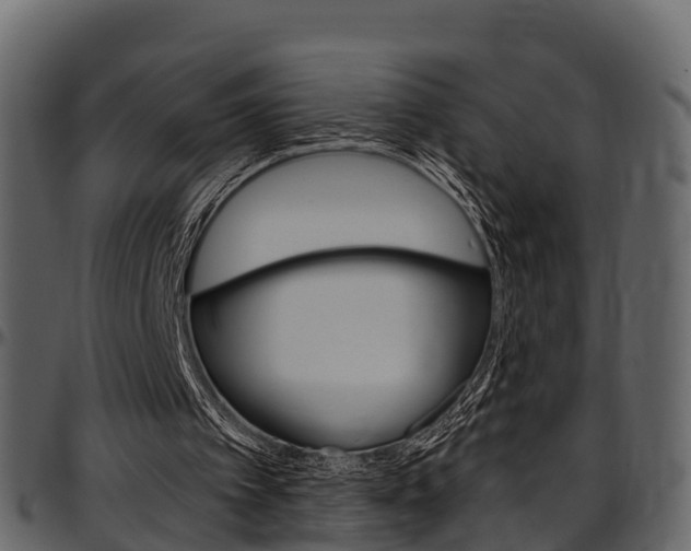 X0000097610097200802290806