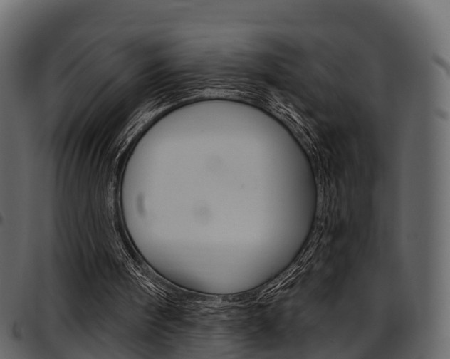 X0000097610098200802290806