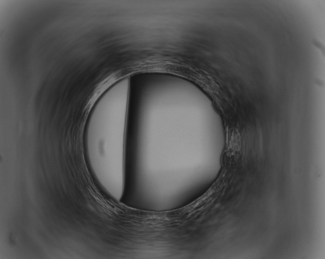 X0000097610099200802290806