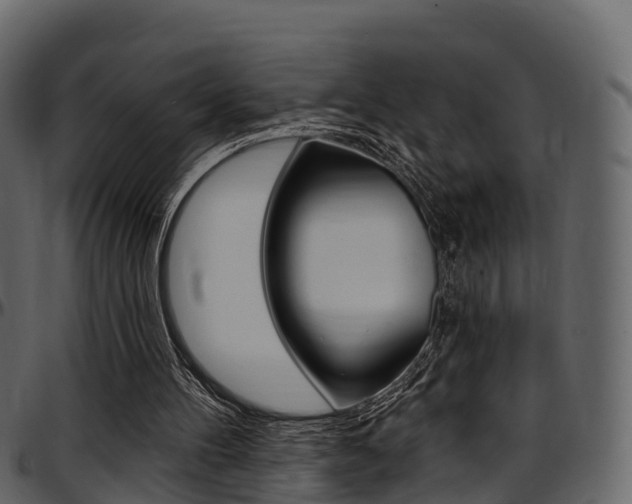 X0000097610100200802290806