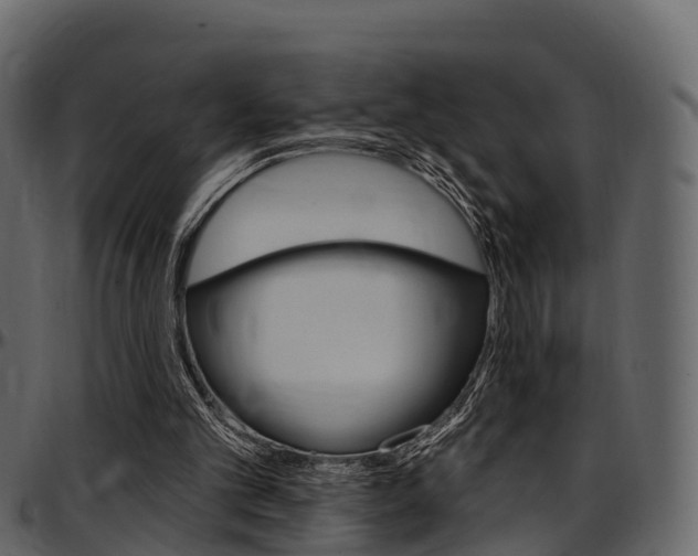X0000097610101200802290806