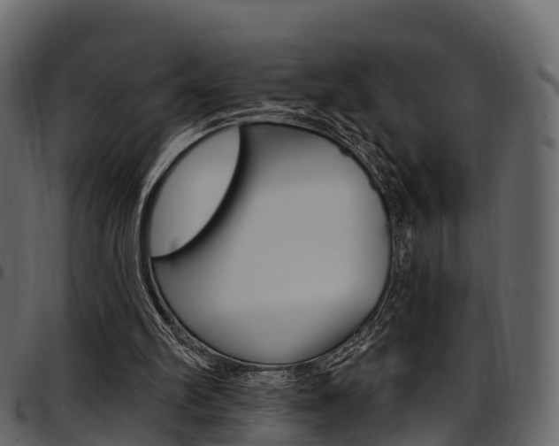 X0000097610102200802290806