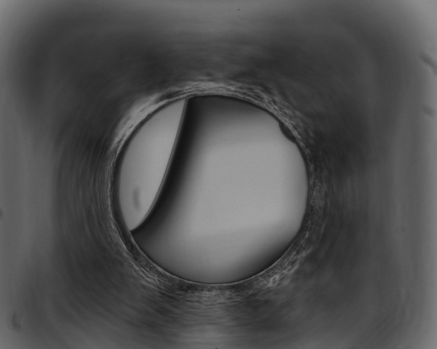 X0000097610103200802290805