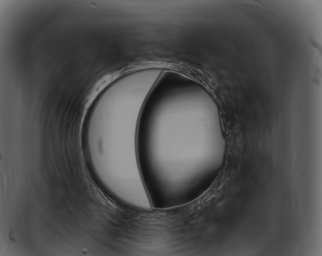 X0000097610104200802290805