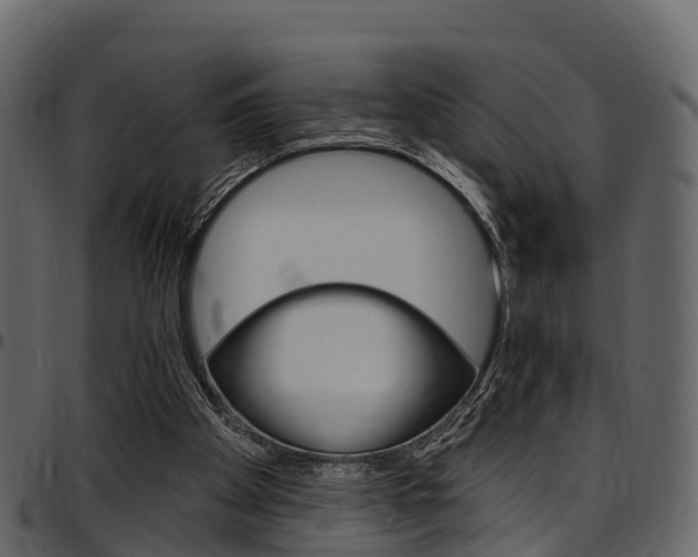 X0000097610105200802290805