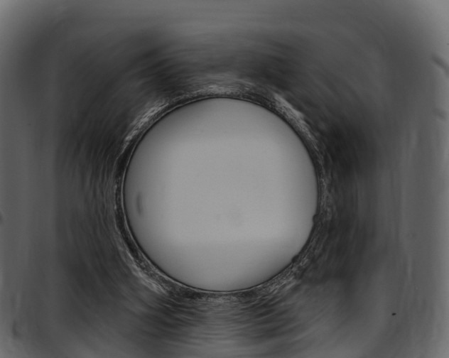 X0000097610106200802290805