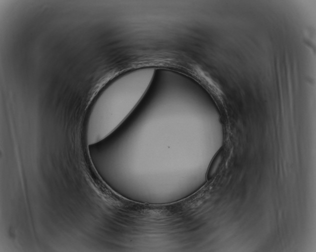 X0000097610107200802290805