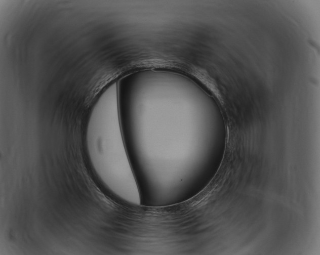 X0000097610109200802290805