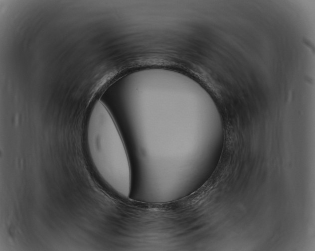 X0000097610111200802290805