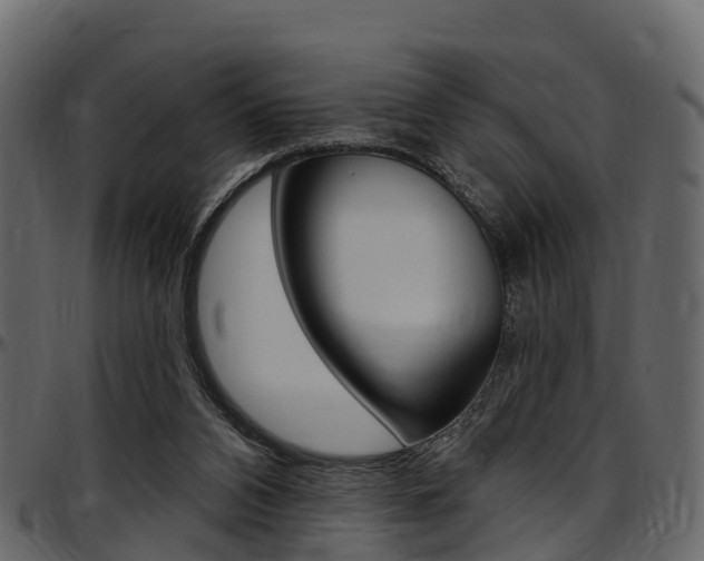 X0000097610112200802290805